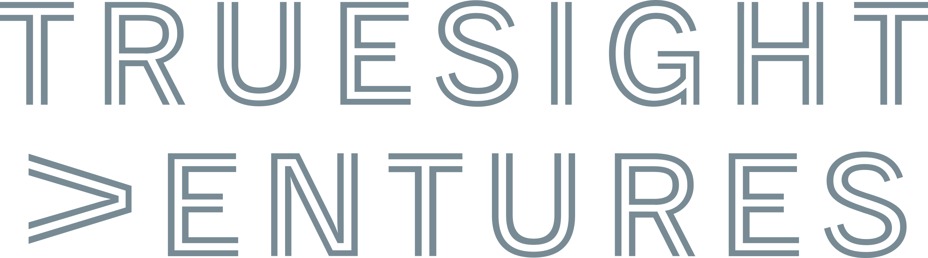 Truesight Ventures